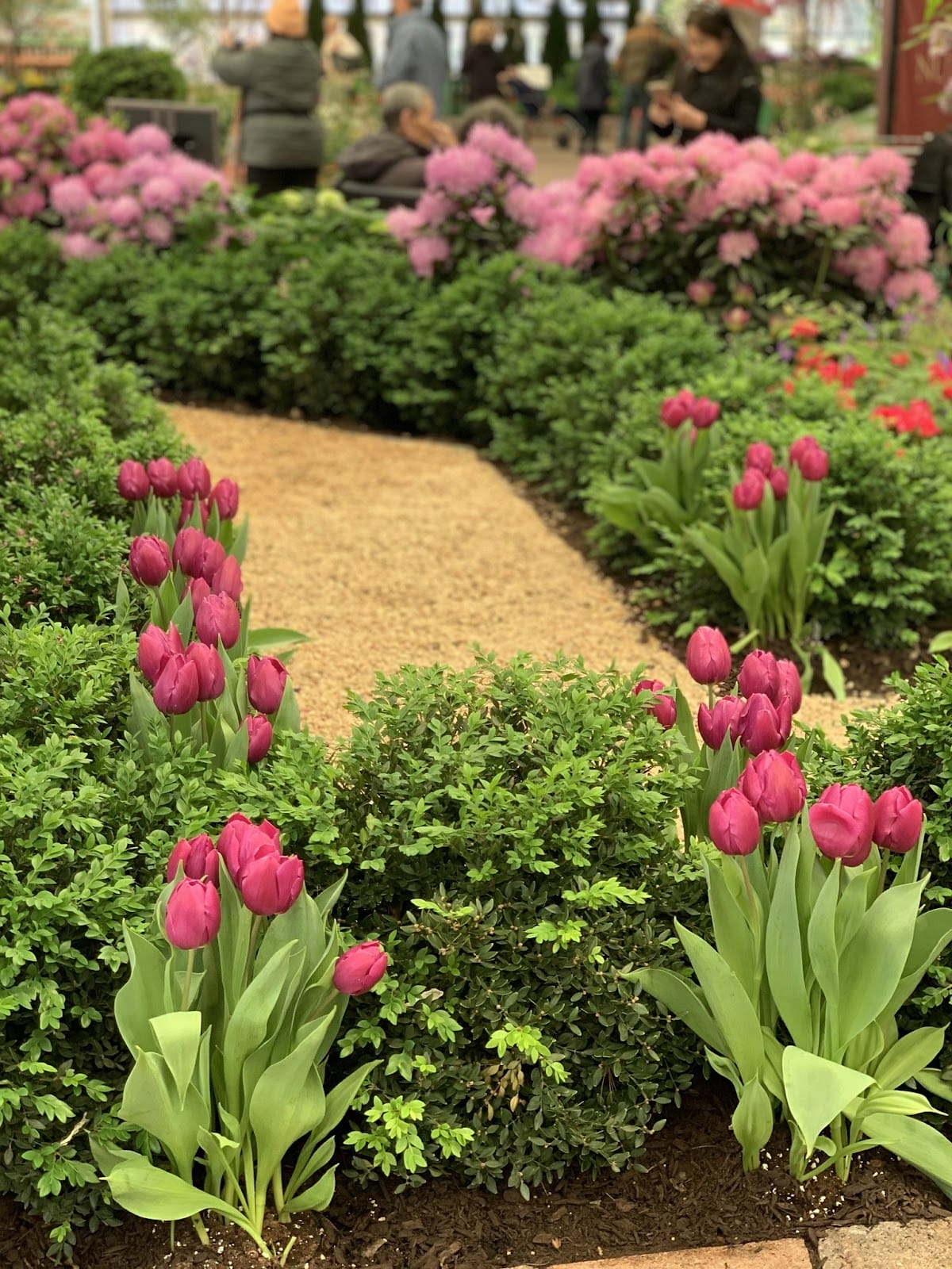 A picture of a garden of red and pink flowers with people in the background