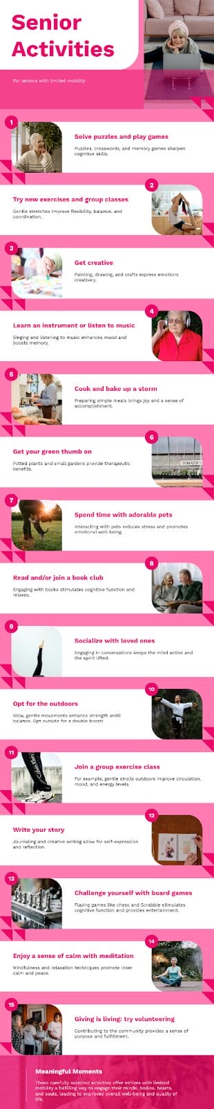 An infographic going over the 15 different activities for seniors with limited mobility